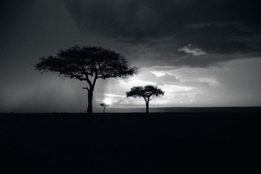 Landscapes, Dunes and Light