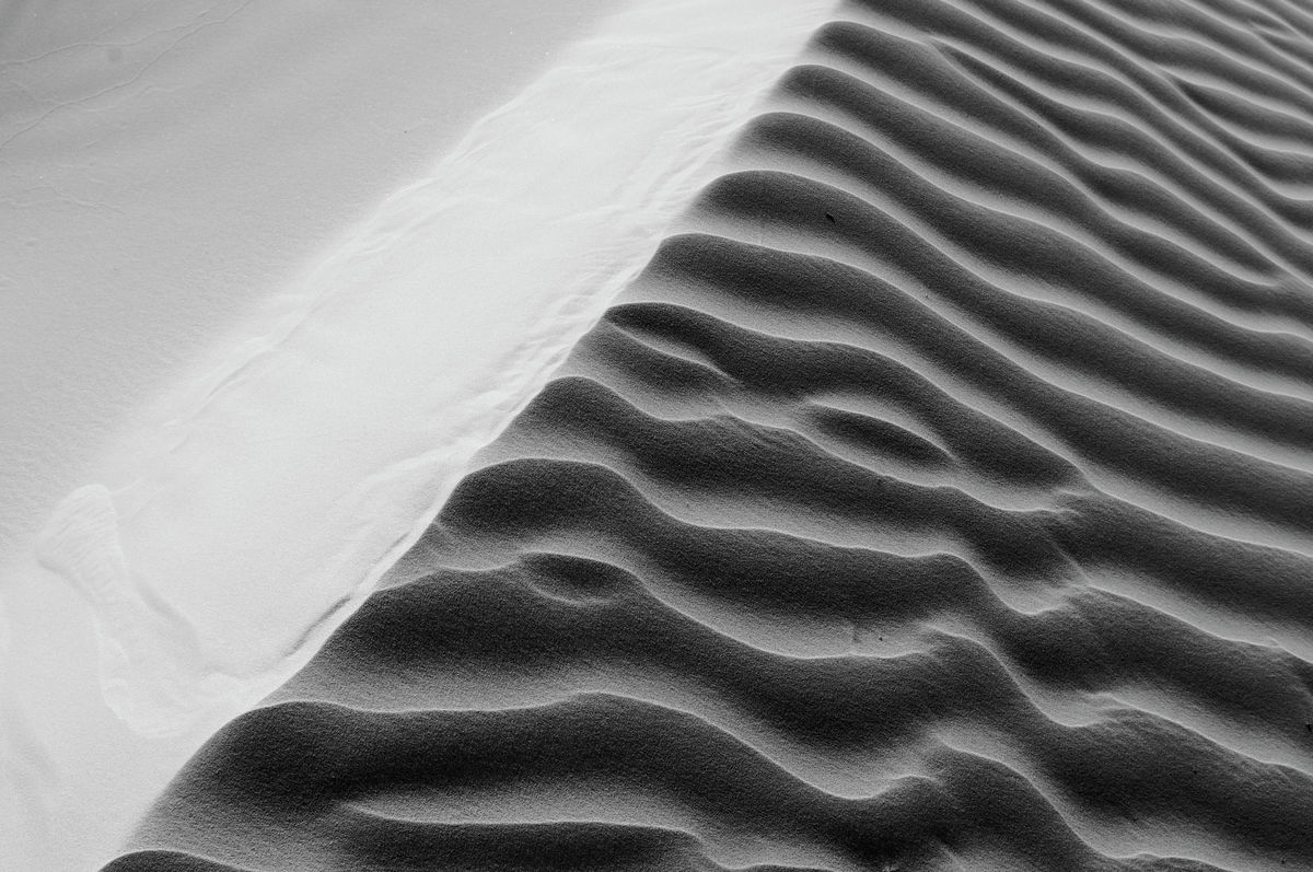 Dune 10