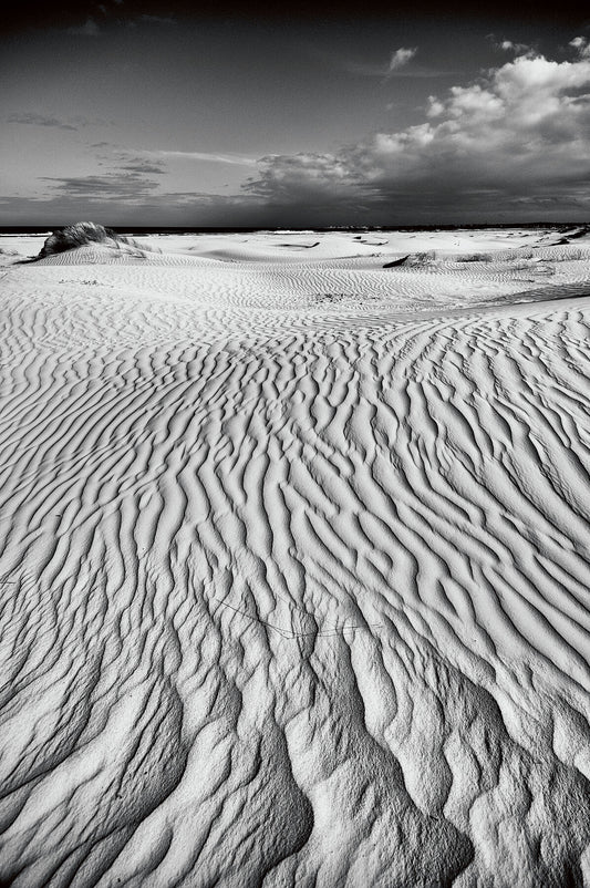 Sand Dunes, Struisbai