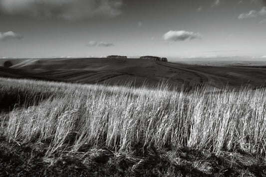 Looking Towards Hackpen Hill, The Ridgeway