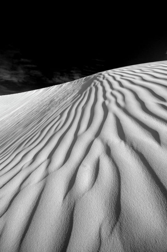 Dune 4