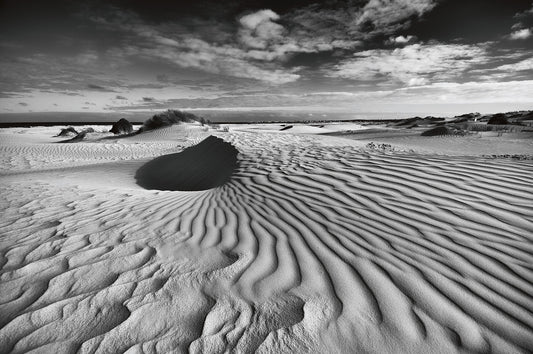 Sand Dunes 3, Struisbai, South Africa