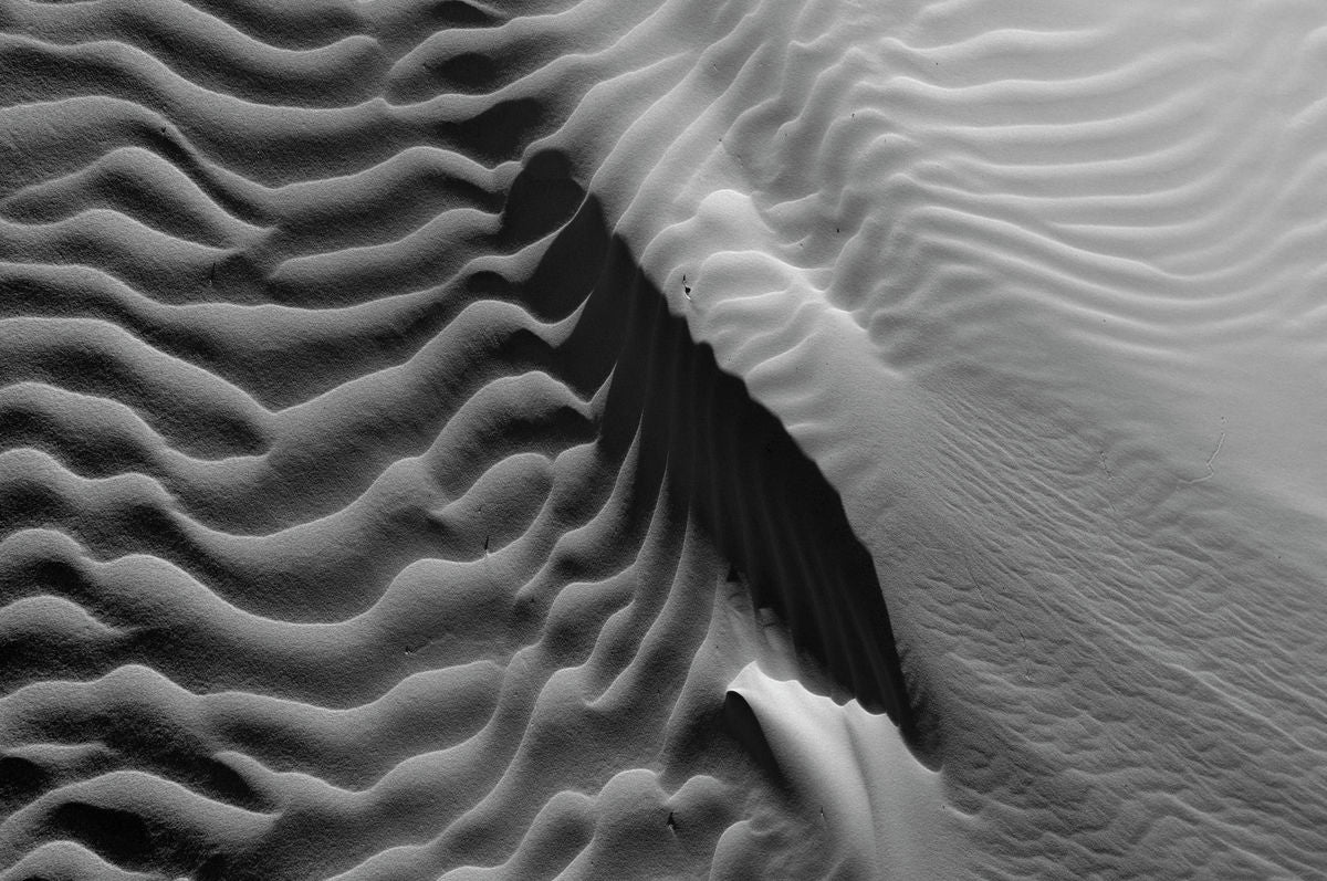 Dune 13
