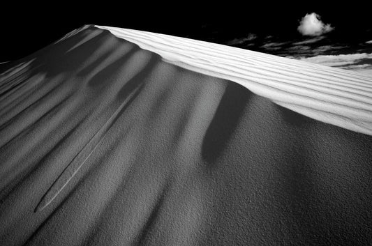 Dune 3