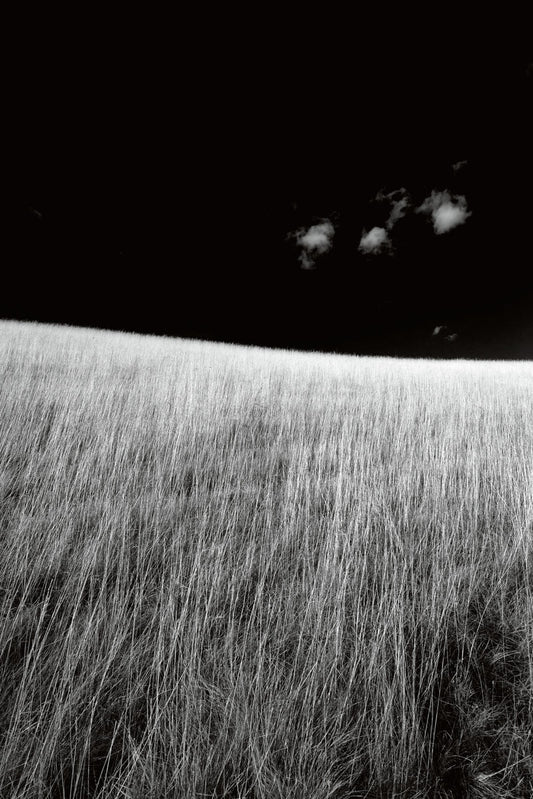 Clouds and Grass on the Ridgeway